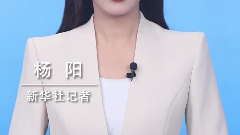 App测试报告的核心要素与规范